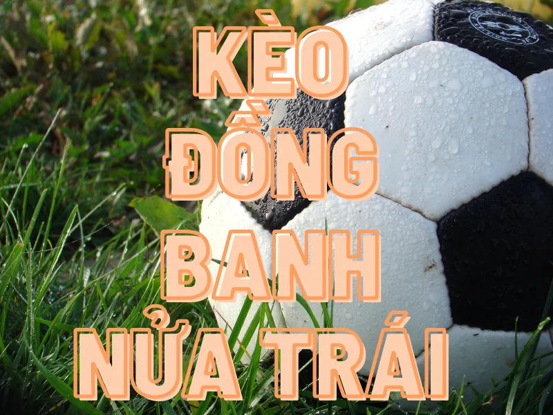 keo chap nua trai fun88 68274e3ae4ae2