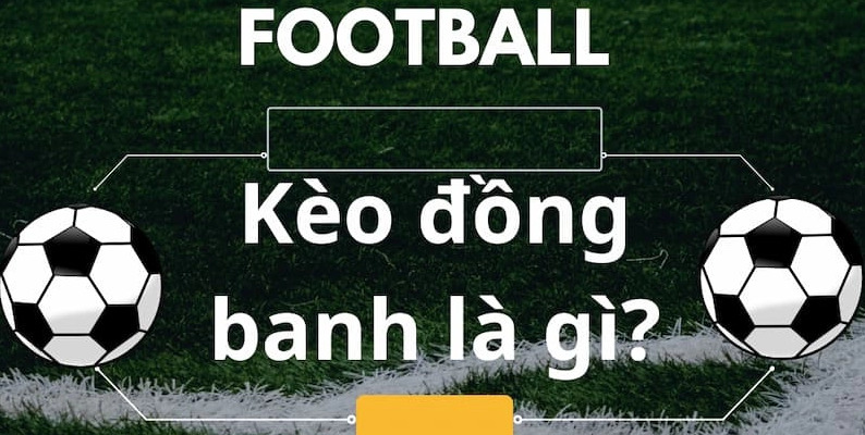 keo dong banh fun88 68274e586da7e