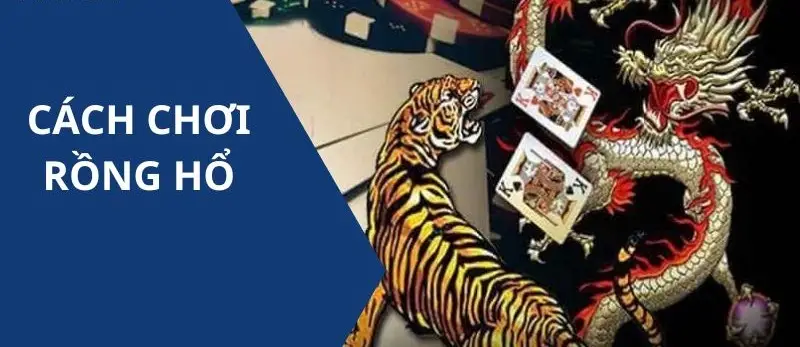 Mẹo Chơi Rồng Hổ - Bí Quyết Giúp Bạn Chiến Thắng Trong Trò Chơi Cờ Cá Cược