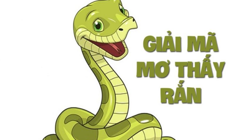 Nằm Mơ Thấy Rắn Đánh Lô Con Gì - Khám Phá Những Điều Bí Ẩn